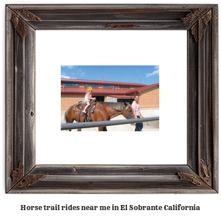 horse trail rides near me in El Sobrante, California